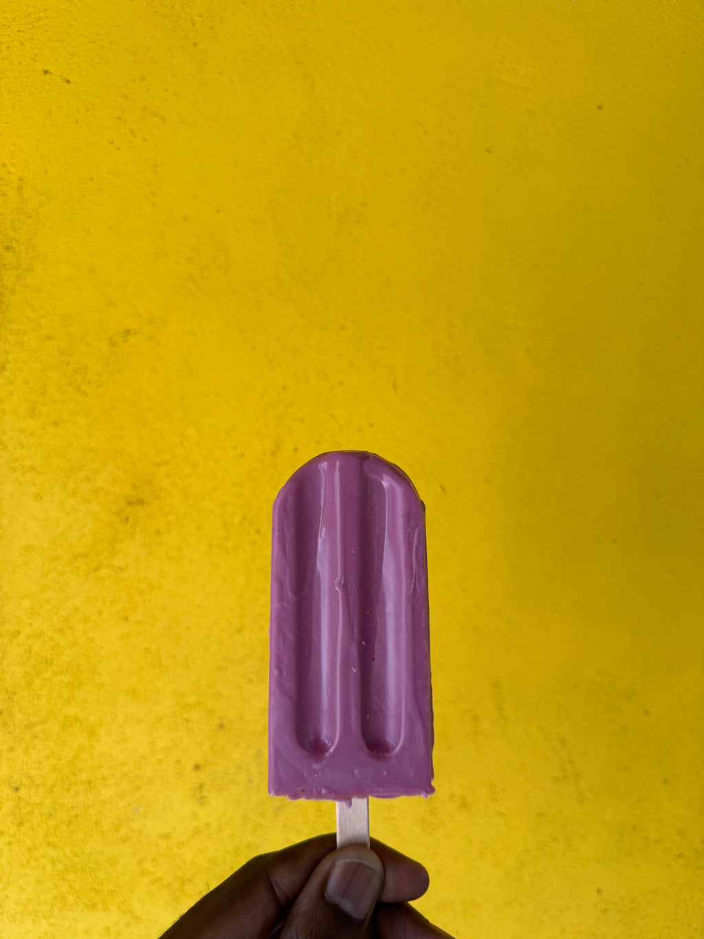 Blueberry
